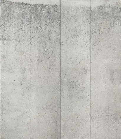 NLXL Carta da parati Concrete 05 - CON-05