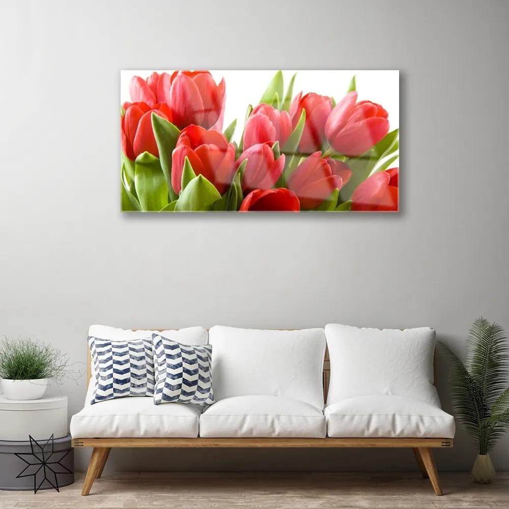 Quadro in vetro acrilico Tulipani, fiori, piante 100x50 cm