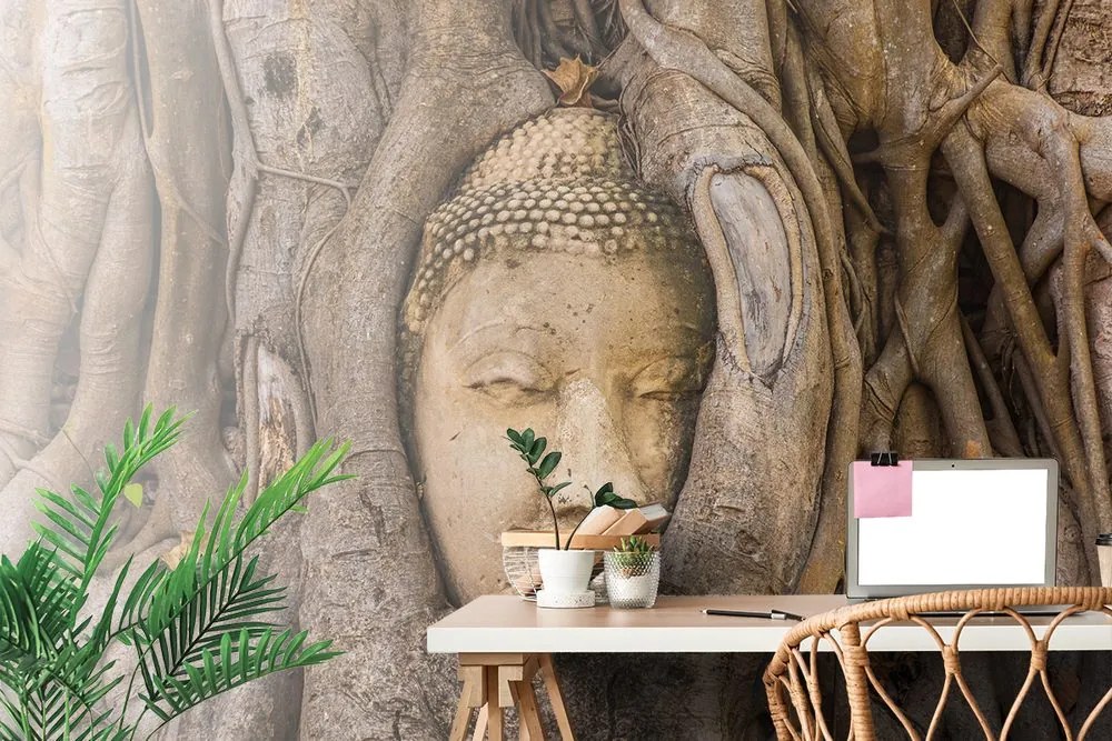 Carta da parati – Albero sacro di Buddha