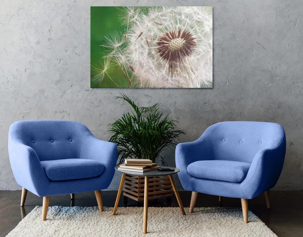 Quadro su tela – Semi di soffione