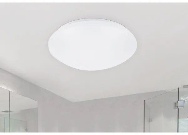 Rabalux 3436 - Plafoniera LED LUCAS LED/24W/230V