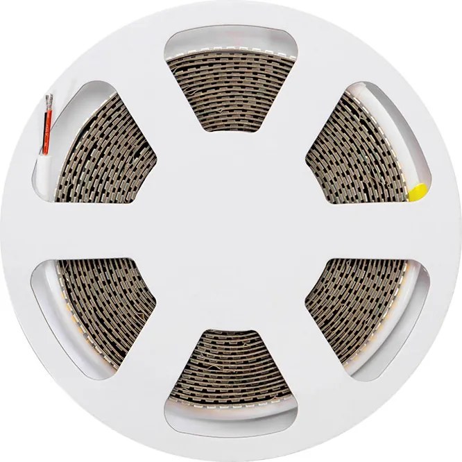 Striscia LED 24V 25W/m Altissima Luminosità Professionale - IP54 - 5 metri