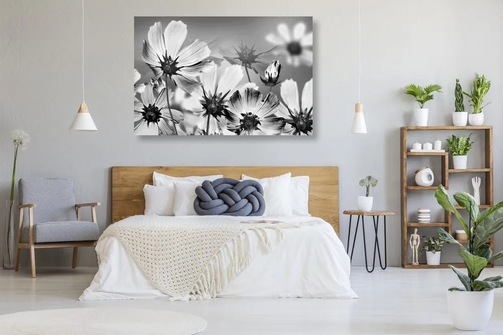 Stampa su tela – Fiori estivi in bianco e nero