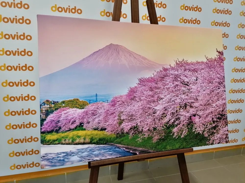 Stampa su tela – Vulcano Fuji del Giappone