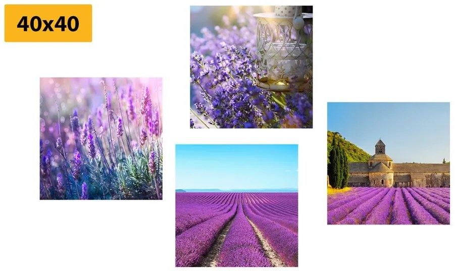 Set di quadri – Per gli amanti della lavanda