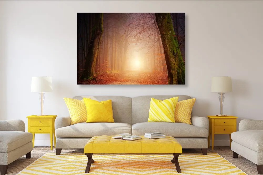 Quadro su tela – Foresta in colori fiabeschi