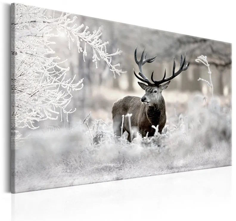 Quadro Lonely Deer  Colore Beige, Dimensioni e Misure 120x80