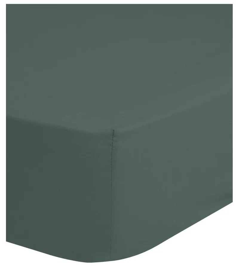 Lenzuolo in cotone elasticizzato verde-grigio 140x200 cm - Good Morning