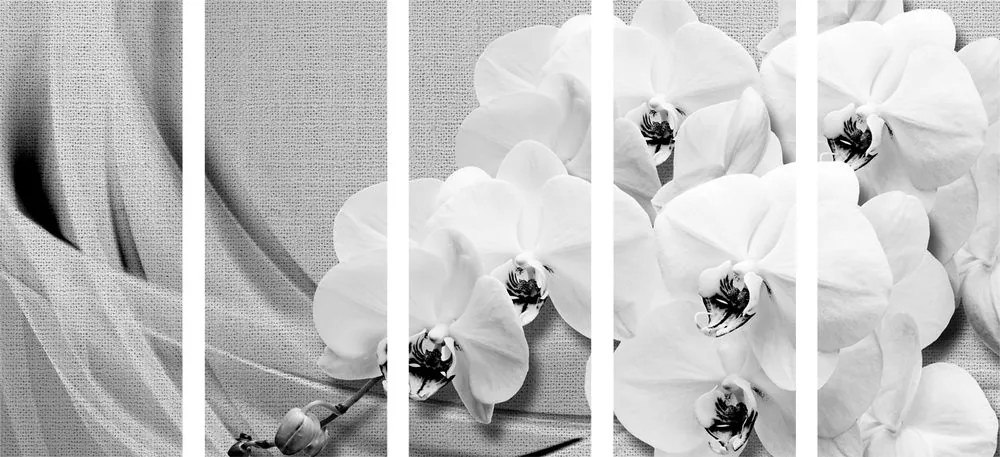Quadri 5 pezzi – Orchidea su tela in bianco e nero