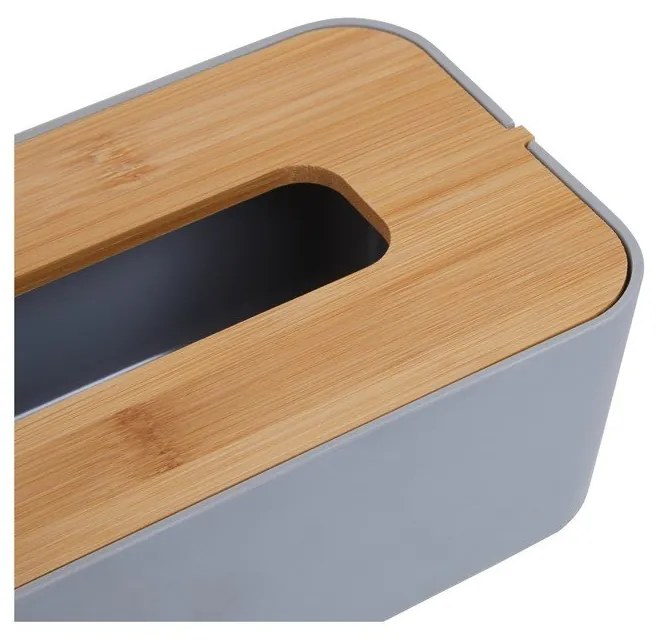 Scatola di plastica per fazzoletti Canyon - Premier Housewares