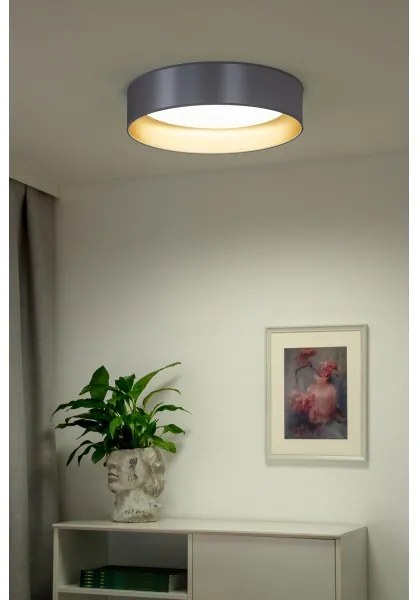 Duolla - Plafoniera LED ROLLER LED/24W/230V diametro 45 cm argento/oro