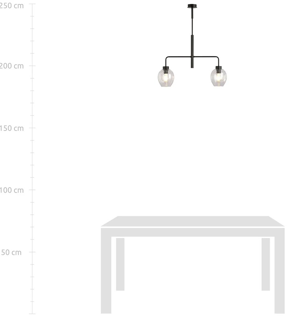Lampadario Moderno 2 Luci Auriga In Accaio Nero E Vetro Trasparente