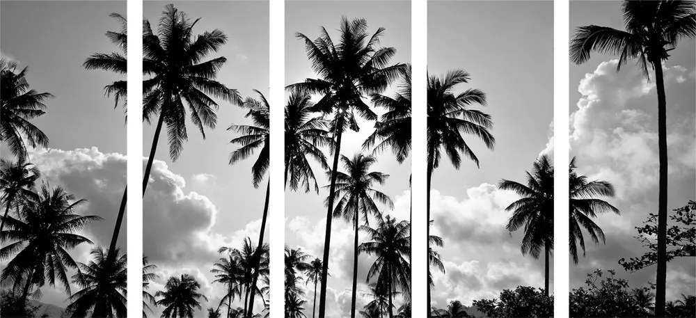 Quadri 5 pezzi – Palme da cocco sulla spiaggia in bianco e nero