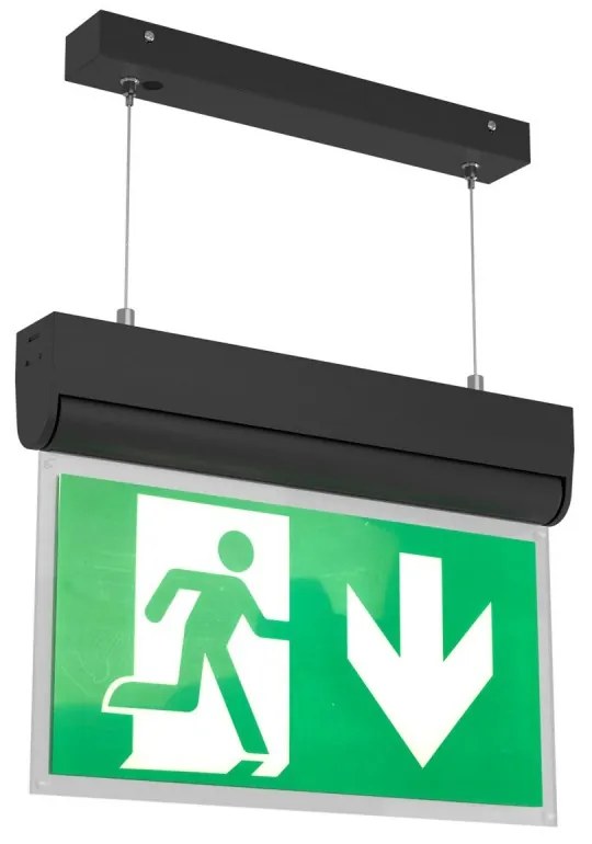Lampada Emergenza a Sospensione 3h S.E S.A Cinema Mode - Bianca o nera Colore Bianco Freddo 6.000K, Colore del corpo Nero
