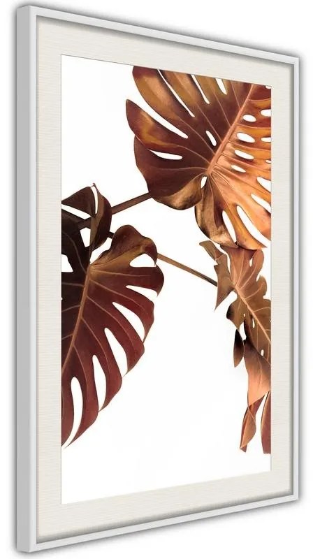 Poster  Copper Monstera  Cornice Quadri Cornice nera con pass-partout, Larghezza x Altezza Home decor 30x45