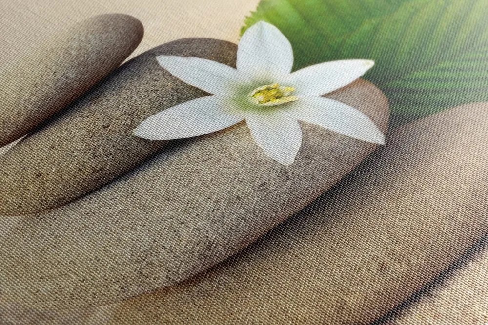 Quadro su tela – Fiore bianco e pietre nella sabbia