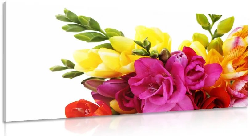 Quadro su tela – Bouquet di fresie