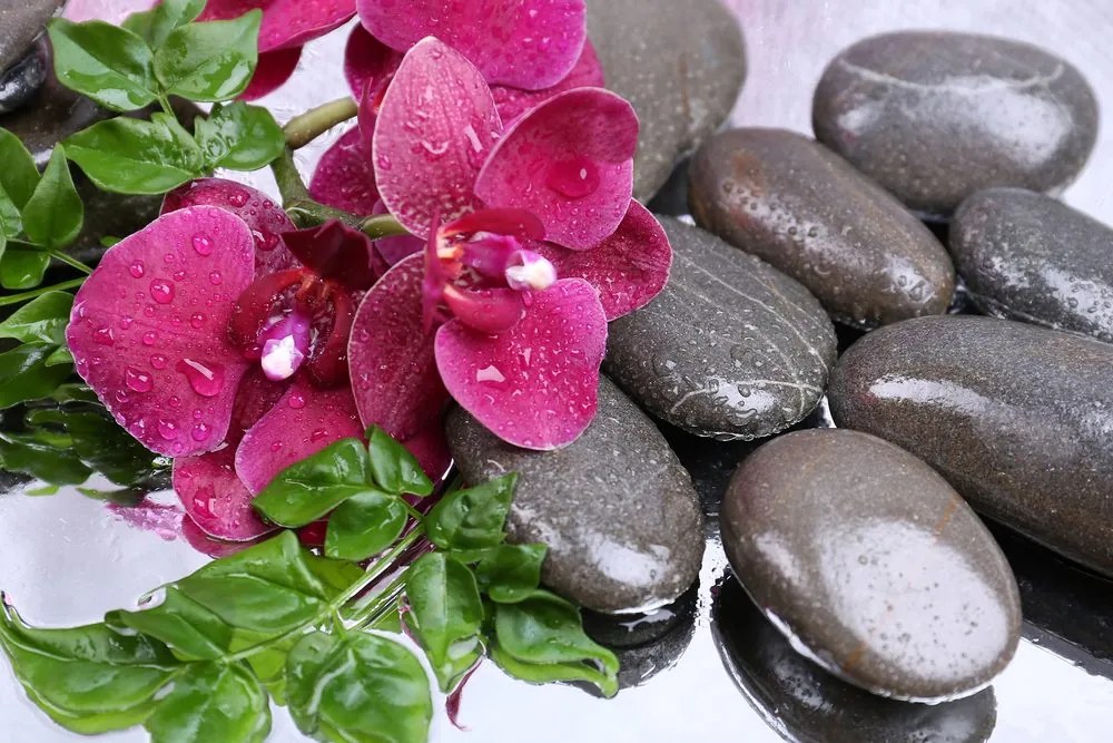 Quadro su tela – Orchidea fiorita e pietre per il benessere