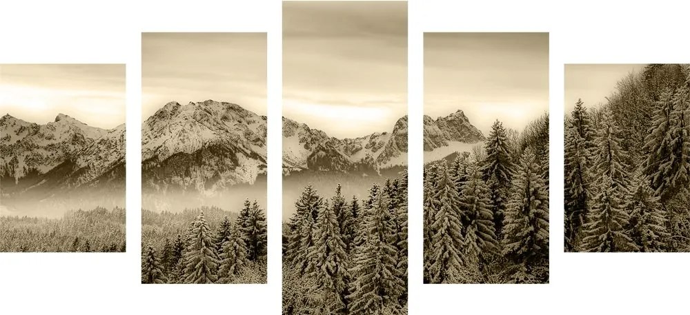 Quadri 5 pezzi – Montagne ghiacciate in seppia