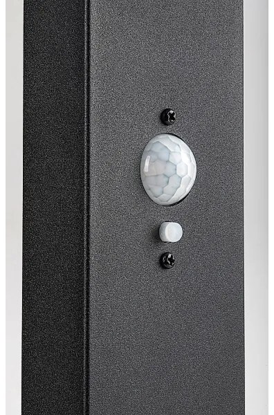 Rabalux 77079 - Lampada solare LED esterna LASSET LED/4,4W/3,7V IP54 antracite