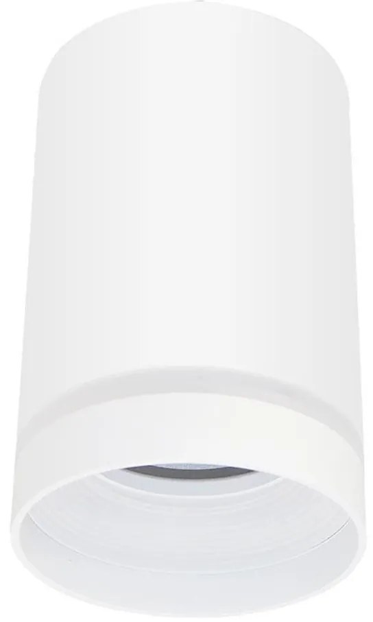 Luce Spot FABRI 1xGU10/10W/230V bianco
