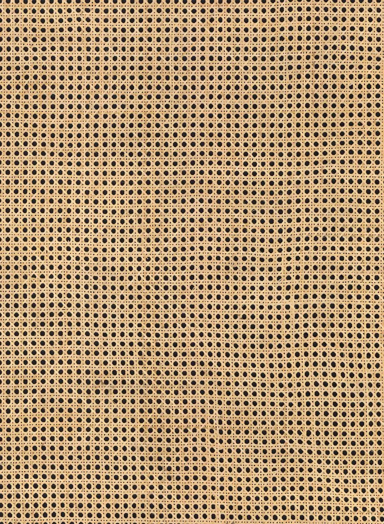 Arte International Carta da parati Rattan - Eclipse