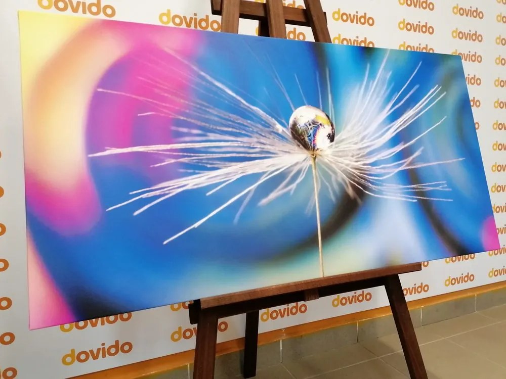Quadro su tela – Goccia di rugiada su sfondo astratto
