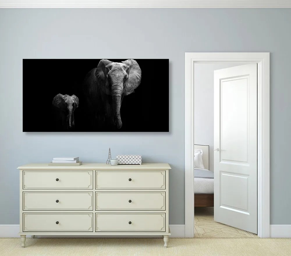 Quadro su tela – Piccolo elefante e elefantessa