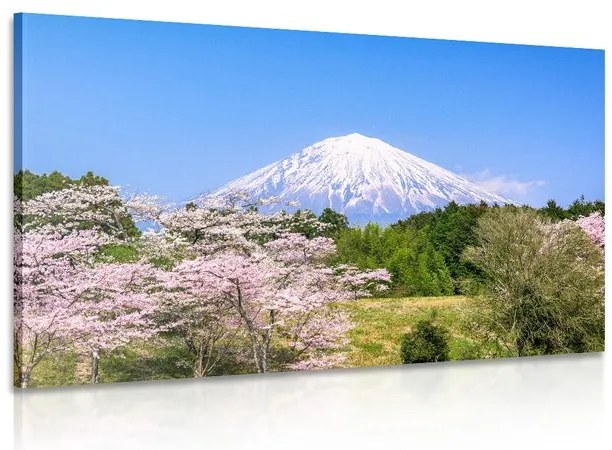 Stampa su tela – Vulcano Fuji