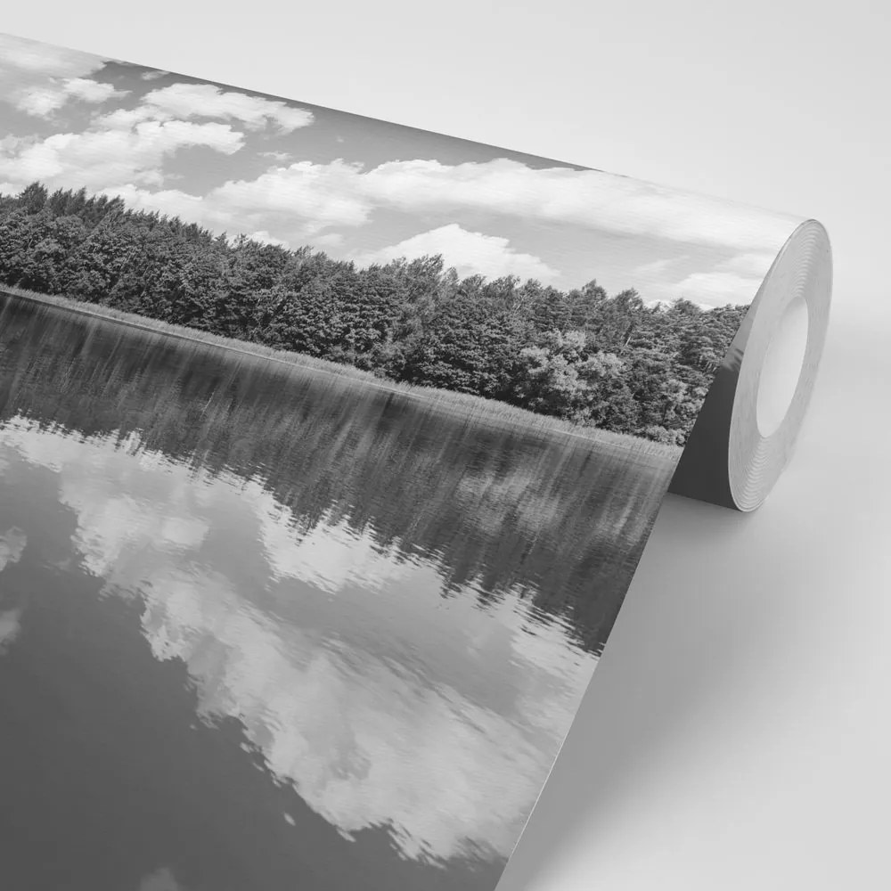 Fotomurale – Lago in bianco e nero in estate