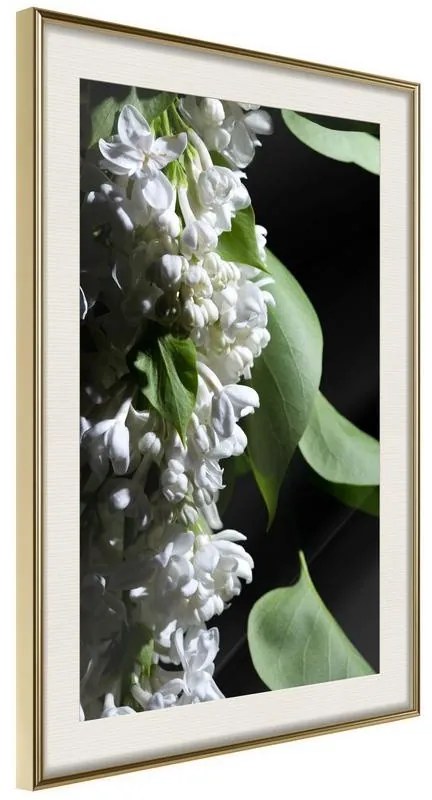 Poster  Fragrant Spring  Cornice Quadri Cornice d'oro con passe-partout, Larghezza x Altezza Home decor 40x60