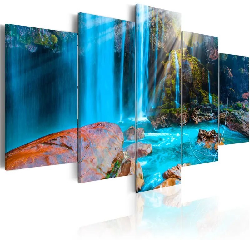 Quadro Treasures of Nature  Colore Marrone, Dimensioni e Misure 200x100