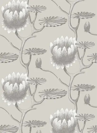 Summer Lily - Designtapete von Cole & Son - Taupe and White