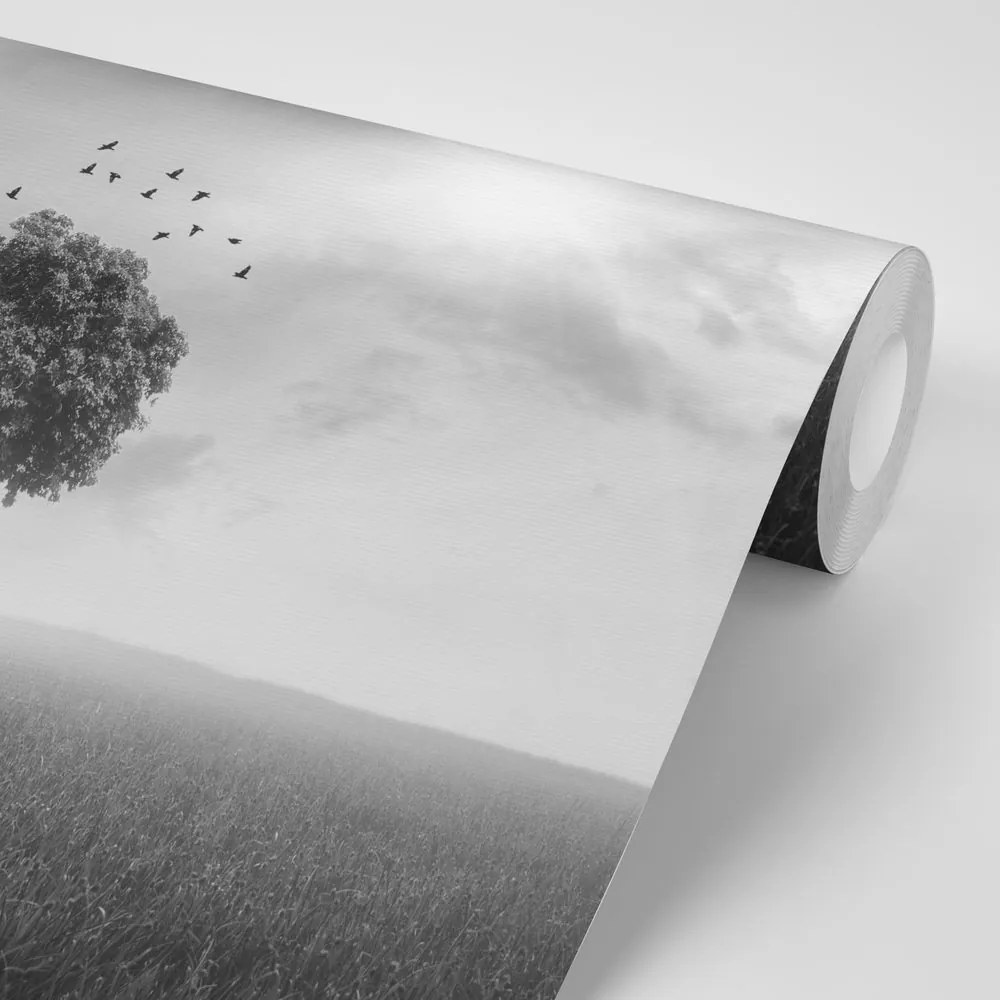 Carta da parati – Albero solitario in bianco e nero sul prato