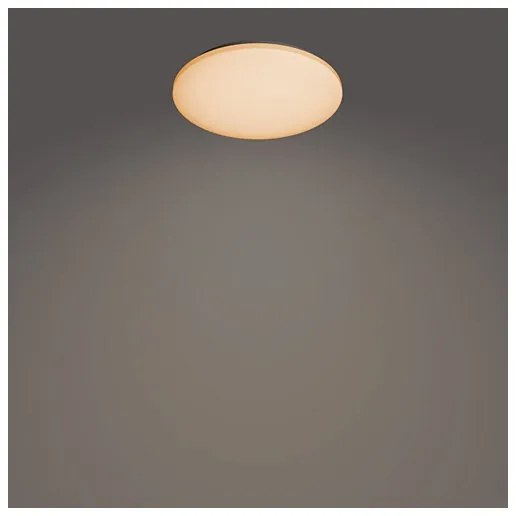 Philips - Plafoniera LED dimmerabile IZSO LED/40W/230V 2700-6500K + +TC