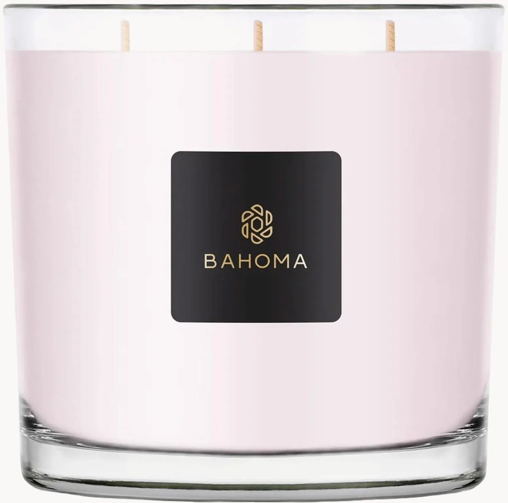 Candela XXL in scatola (peonia e cashmere)