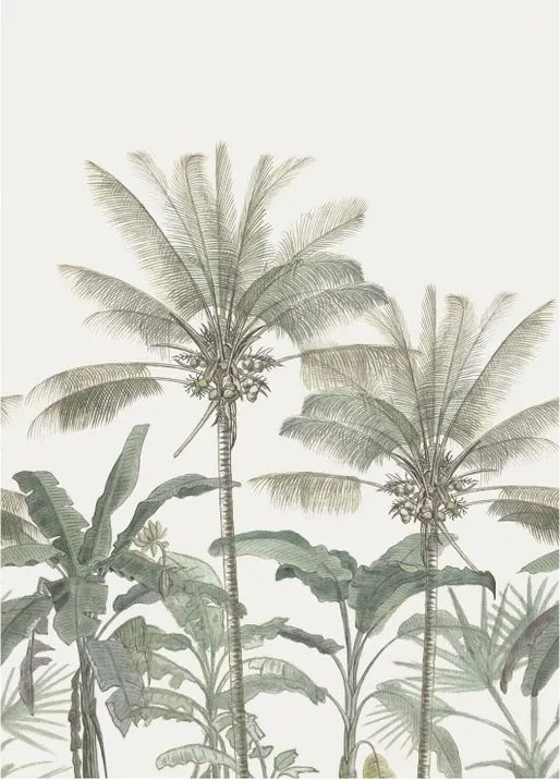 Fotomurale ESTA Palme, beige 200X279 cm