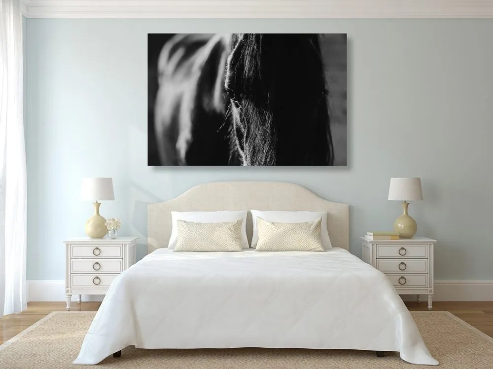 Quadro su tela – Cavallo maestoso in bianco e nero