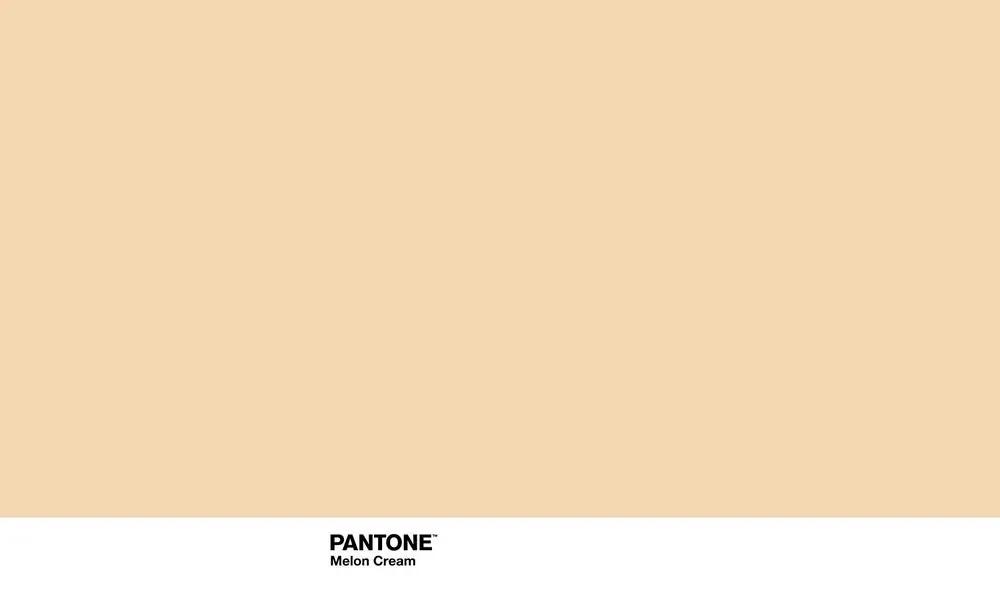 Copripiumino Pantone Melon Cream (Letto da 135) (220 x 220 cm)