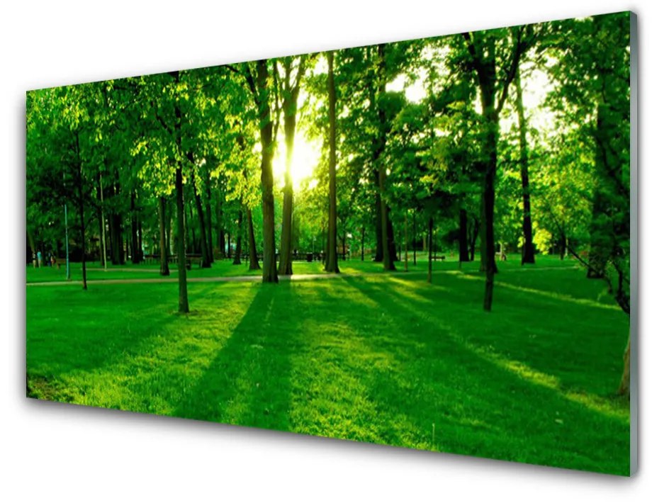 Quadro acrilico Parco Naturale della Foresta 100x50 cm