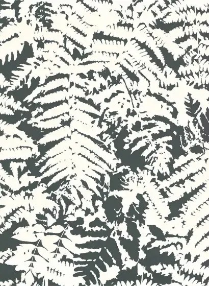 Little Greene Carta da parati Fern - Off Black