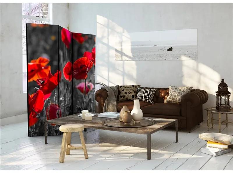 Paravento Red Poppies [Room Dividers]