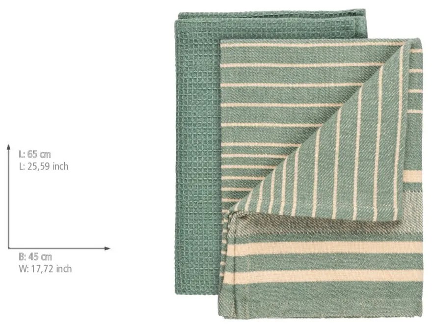 Strofinaccio in cotone 45x65 cm Tito – Wenko