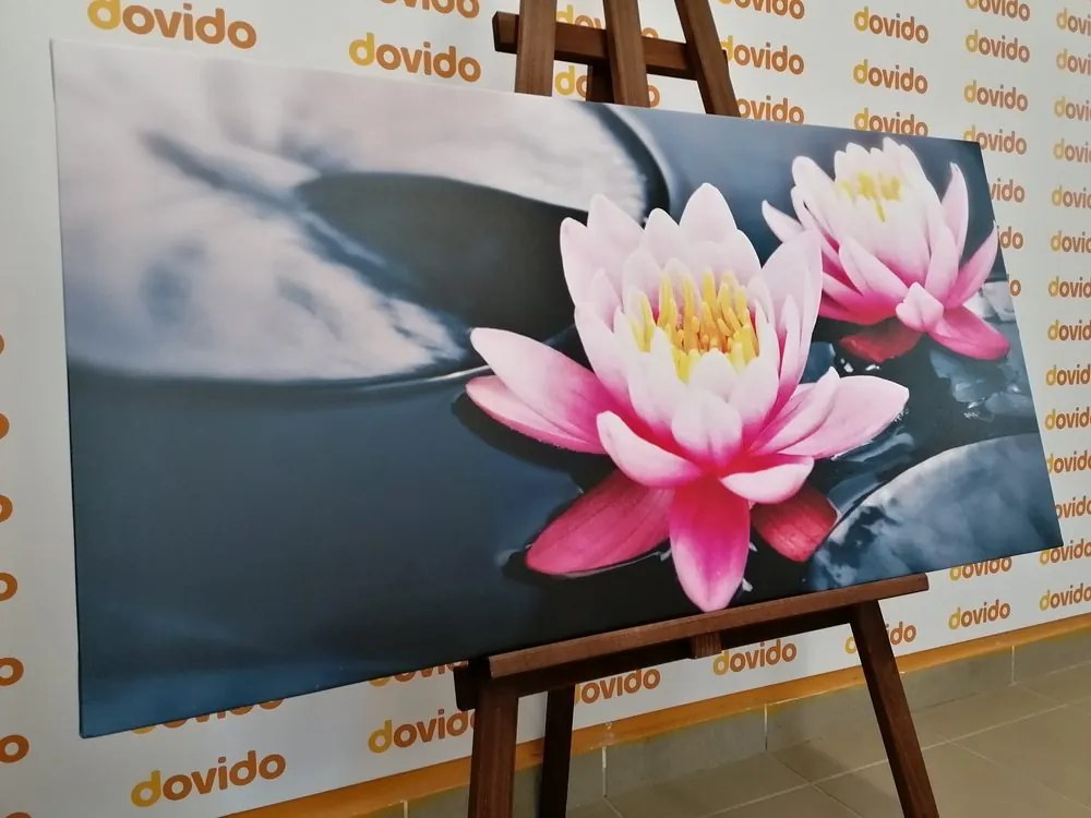 Quadro su tela – Fiore di loto nel lago