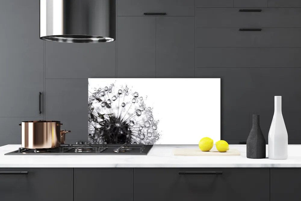 Pannello cucina paraschizzi Pianta di tarassaco 120x60 cm