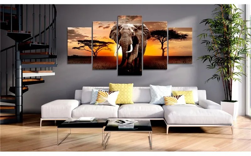 Quadro  Elephant Migration  Colore Beige, Dimensioni e Misure 100x50