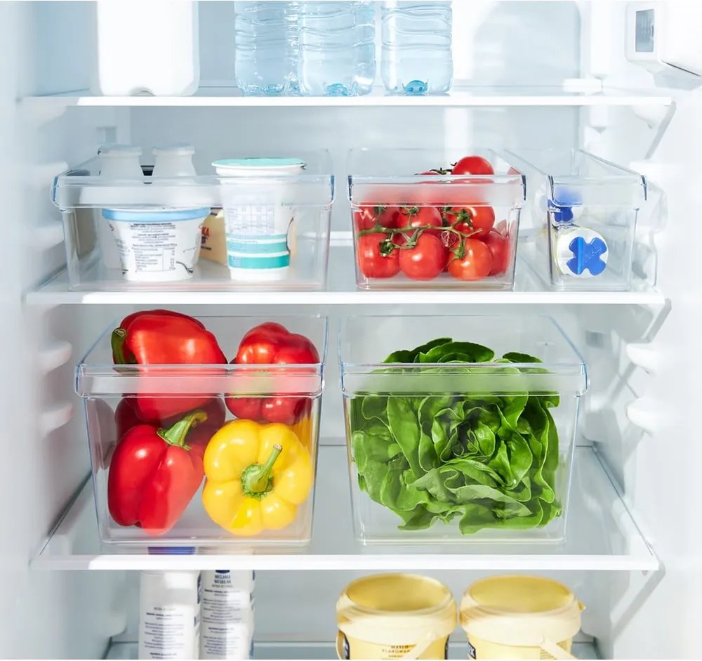 Organizer per il frigorifero in plastica 22x20 cm Loft – Rotho