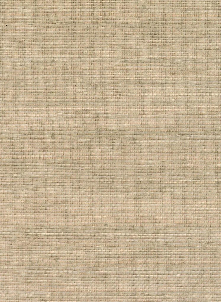 CMO Paris Carta da parati Sisal - Nude