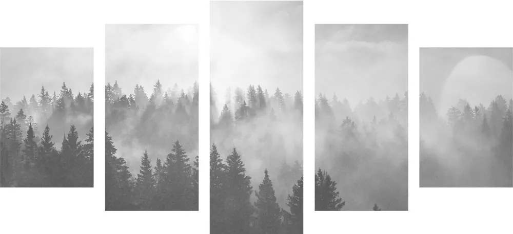 Quadri 5 pezzi – Nebbia sulla foresta in bianco e nero