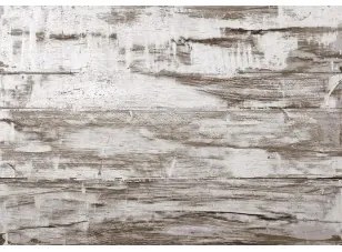 Carta da parati - Shabby Chic Wood Standard 250x175